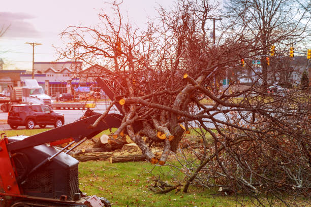 Leaf Removal in Closter, NJ